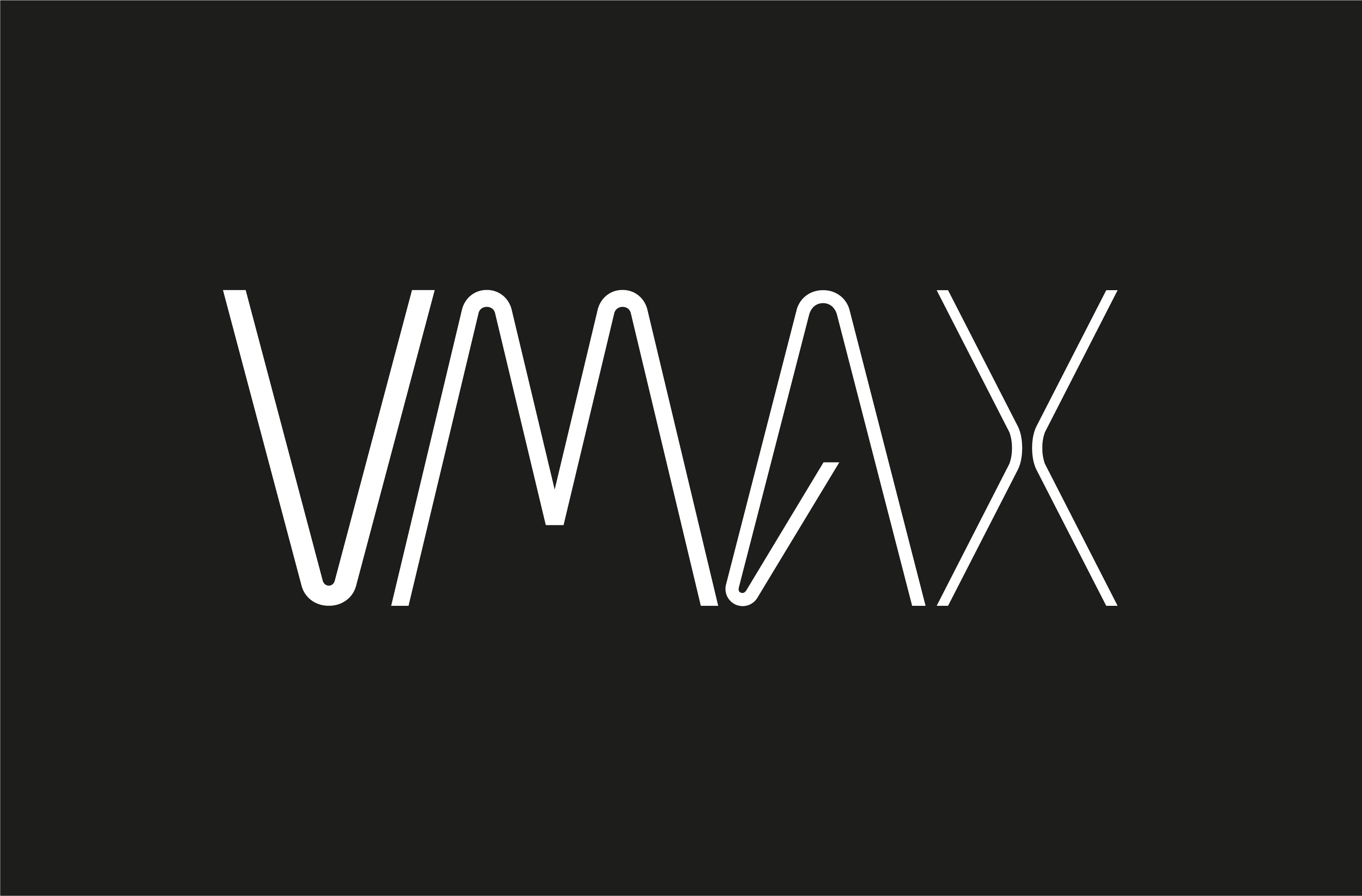 vmax-vx2-pro-aufkleber-schutzblech-hinten-ersatz image 1