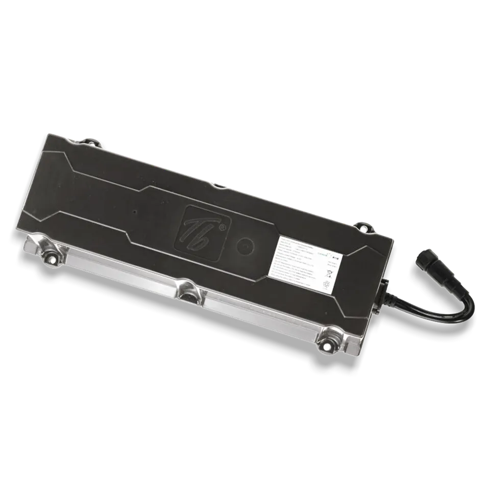 trittbrett-paul-akku-19-6-ah-lg-lithium-ionen-ersatzakku image 1