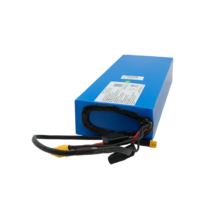 vmax-vx2-pro-akku-48v-13ah-r40-pro-batterie image 1