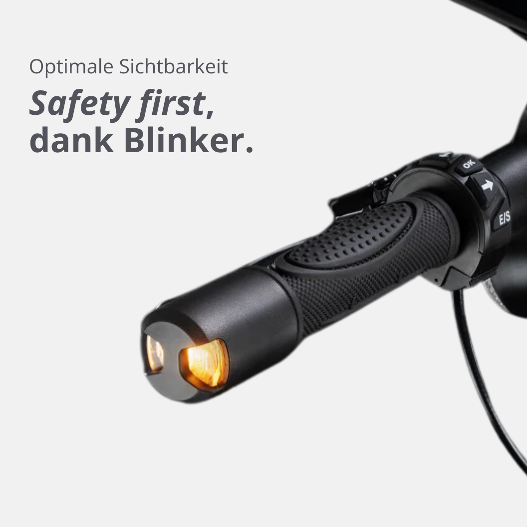 vmax-vx8-e-scooter-carbon-45-km-reichweite image 4